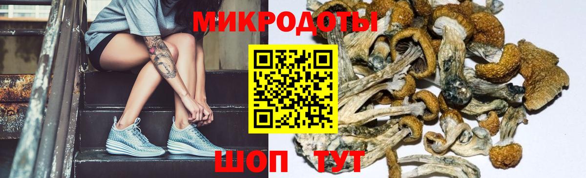 Галлюциногенные грибы Psilocybine cubensis  Вход с VPN  Богданович 